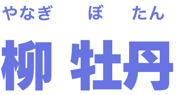 柳 牡丹